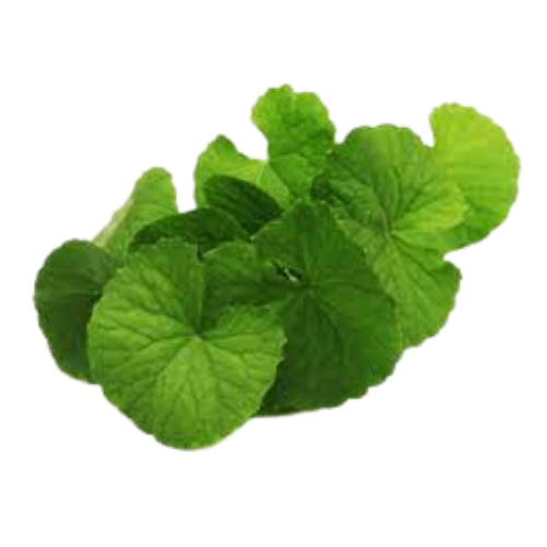 Gotukola (ගොටුකොල)