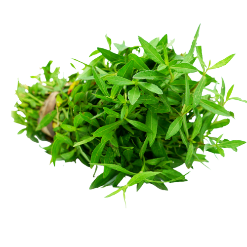 Mukunuwenna (මුකුණුවැන්න)