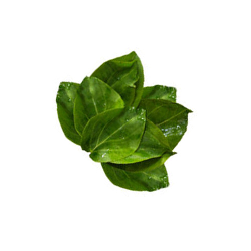 Gonika Kola (ගොනිකා කොල)