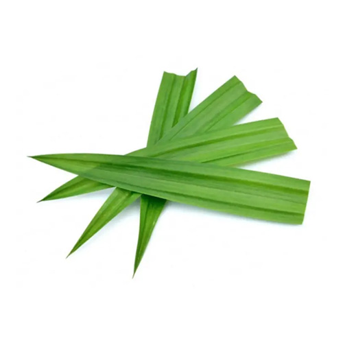 Rampe (රම්පේ)